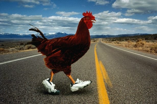 Découvrez le Lancement du Jeu de Casino Chicken Road en France en Ligne à France